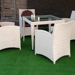202 Imported Rattan Daining Set